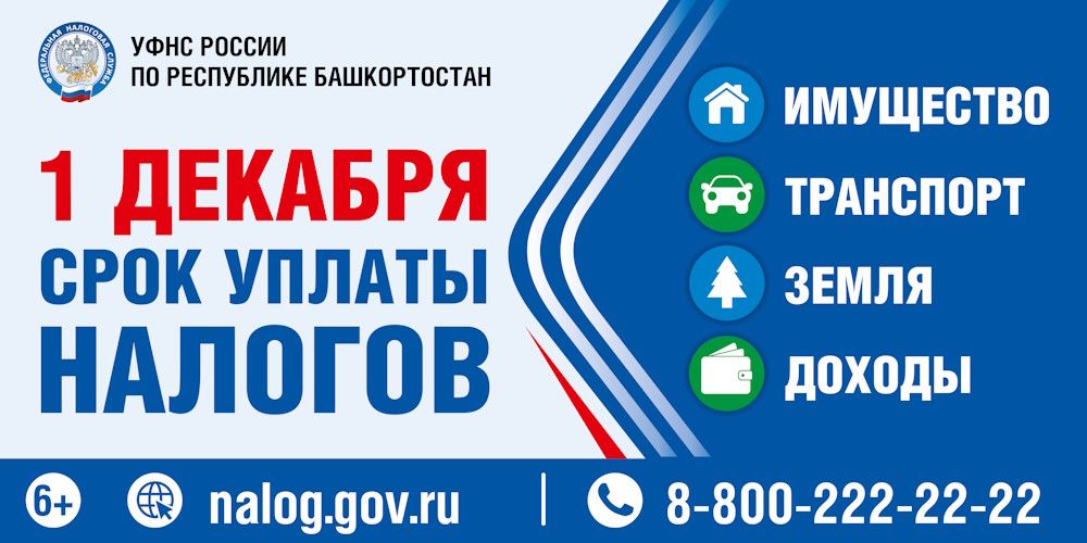 1 декабря - срок уплаты налогов